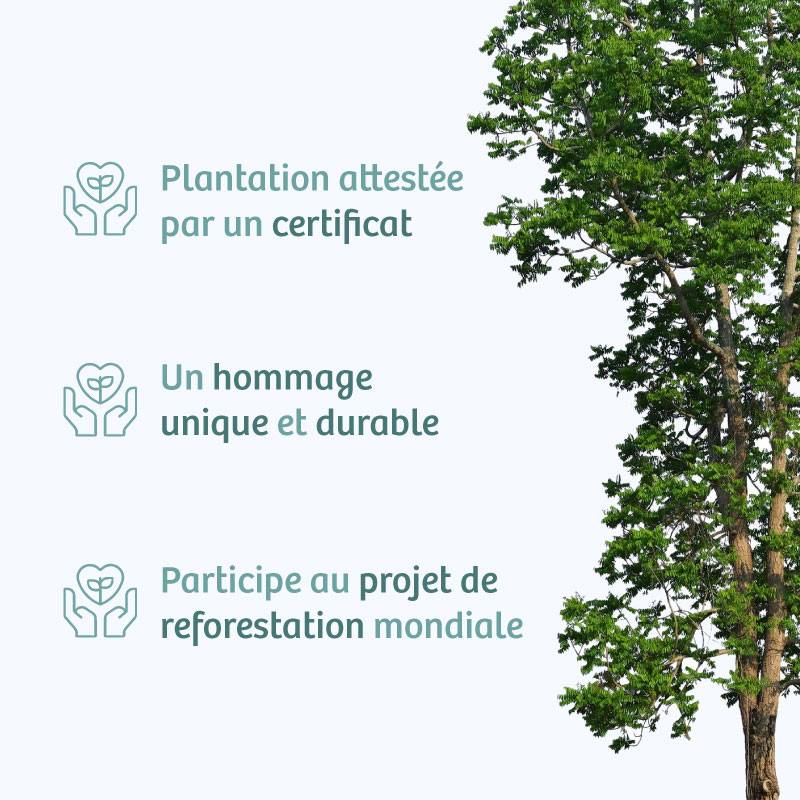 Planter un arbre en hommage à M. Michel Gauthier